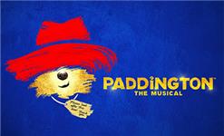Orchid Phalaenopsis - Paddington The Musical