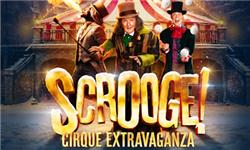 Orchid Phalaenopsis - Scrooge: A Cirque Extravaganza
