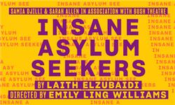 Orchid Phalaenopsis - Insane Asylum Seekers