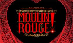 Orchid Phalaenopsis - Moulin Rouge The Musical