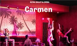 Orchid Phalaenopsis - Carmen - Royal Ballet and Opera