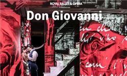 Orchid Phalaenopsis - Don Giovanni - Royal Ballet and