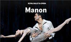 Orchid Phalaenopsis - Manon - Royal Ballet and Opera