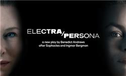 Orchid Phalaenopsis - Electra/Persona