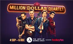Orchid Phalaenopsis - Million Dollar Quartet