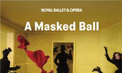 Orchid Phalaenopsis - A Masked Ball - Royal Ballet
