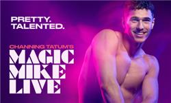 Orchid Phalaenopsis - Magic Mike Live!