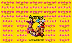 Orchid Phalaenopsis - AVENUE Q