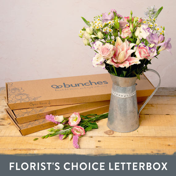 Orchid Phalaenopsis - Florist's Choice Letterbox