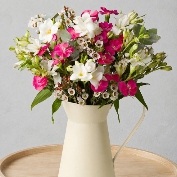 Orchid Phalaenopsis - Pink Parfait Letterbox
