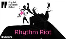 Orchid Phalaenopsis - English National Ballet – Rhythm Riot