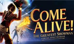 Orchid Phalaenopsis - Come Alive! The Greatest Showman Circus