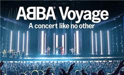 Orchid Phalaenopsis - Abba Voyage