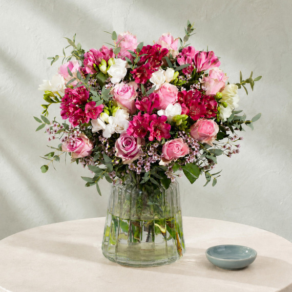 Orchid Phalaenopsis - Luxury Roses and Freesias