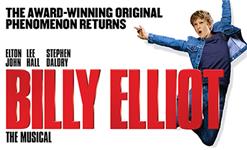 Orchid Phalaenopsis - Billy Elliot The Musical