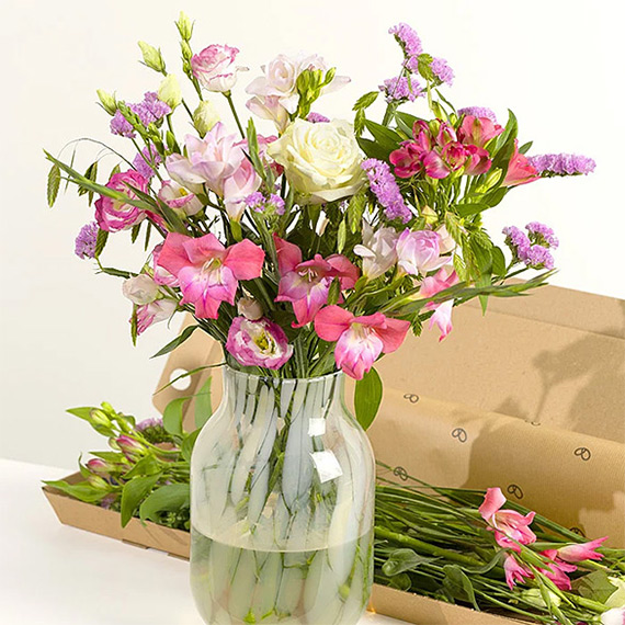 Orchid Phalaenopsis - Letterbox Monthly Flower Gift