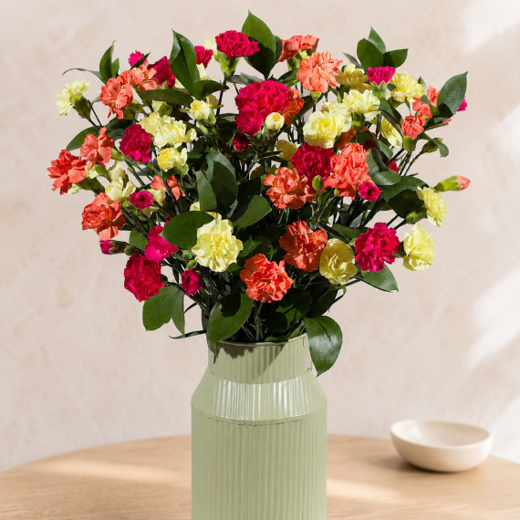 Autumn Warmth Grande - Orchid Phalaenopsis review and price