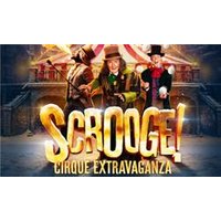 Scrooge: A Cirque Extravaganza - Orchid Phalaenopsis review and price