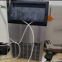 110V 220V Ice Maker Commercial - Plant Parent App Video review and price