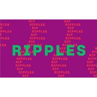 Ripples - Orchid Phalaenopsis review and price