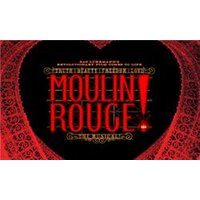 Moulin Rouge The Musical - Orchid Phalaenopsis review and price