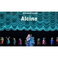 Alcina - Royal Ballet and Oper - Orchid Phalaenopsis review and price