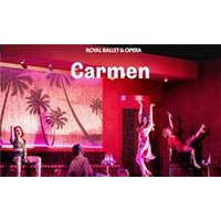 Carmen - Royal Ballet and Oper - Orchid Phalaenopsis review and price
