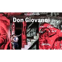 Don Giovanni - Royal Ballet an - Orchid Phalaenopsis review and price