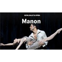 Manon - Royal Ballet and Opera - Orchid Phalaenopsis review and price