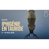 Iphigenie en Tauride - English - Orchid Phalaenopsis review and price