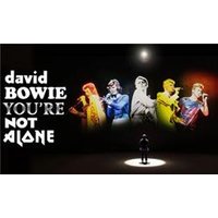 David Bowie: You’re Not Alone - Orchid Phalaenopsis review and price