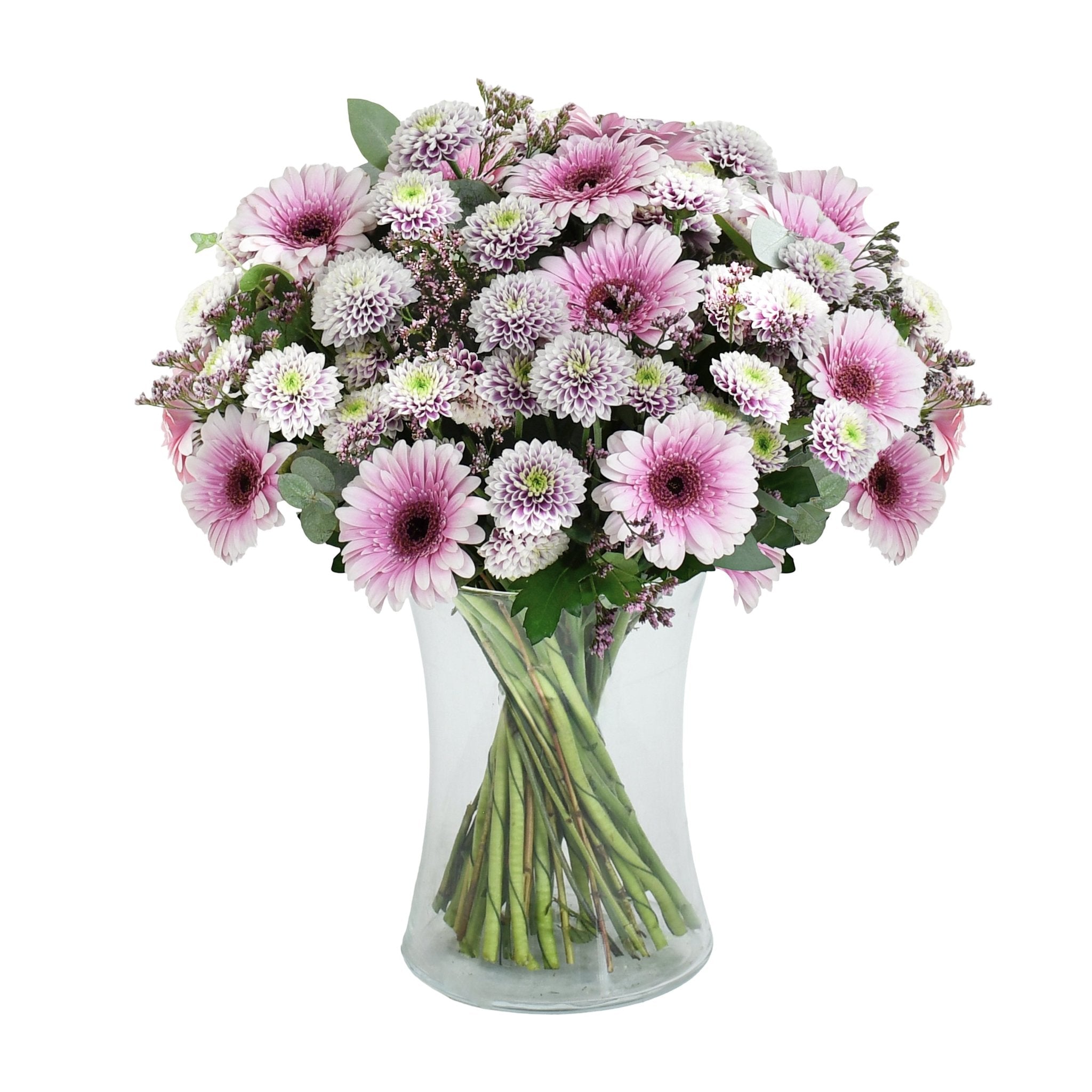 Blossom Embrace - Plant Parent Definition review and price