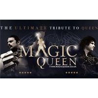 Magic Queen - Magic Tour 40th  - Orchid Phalaenopsis review and price