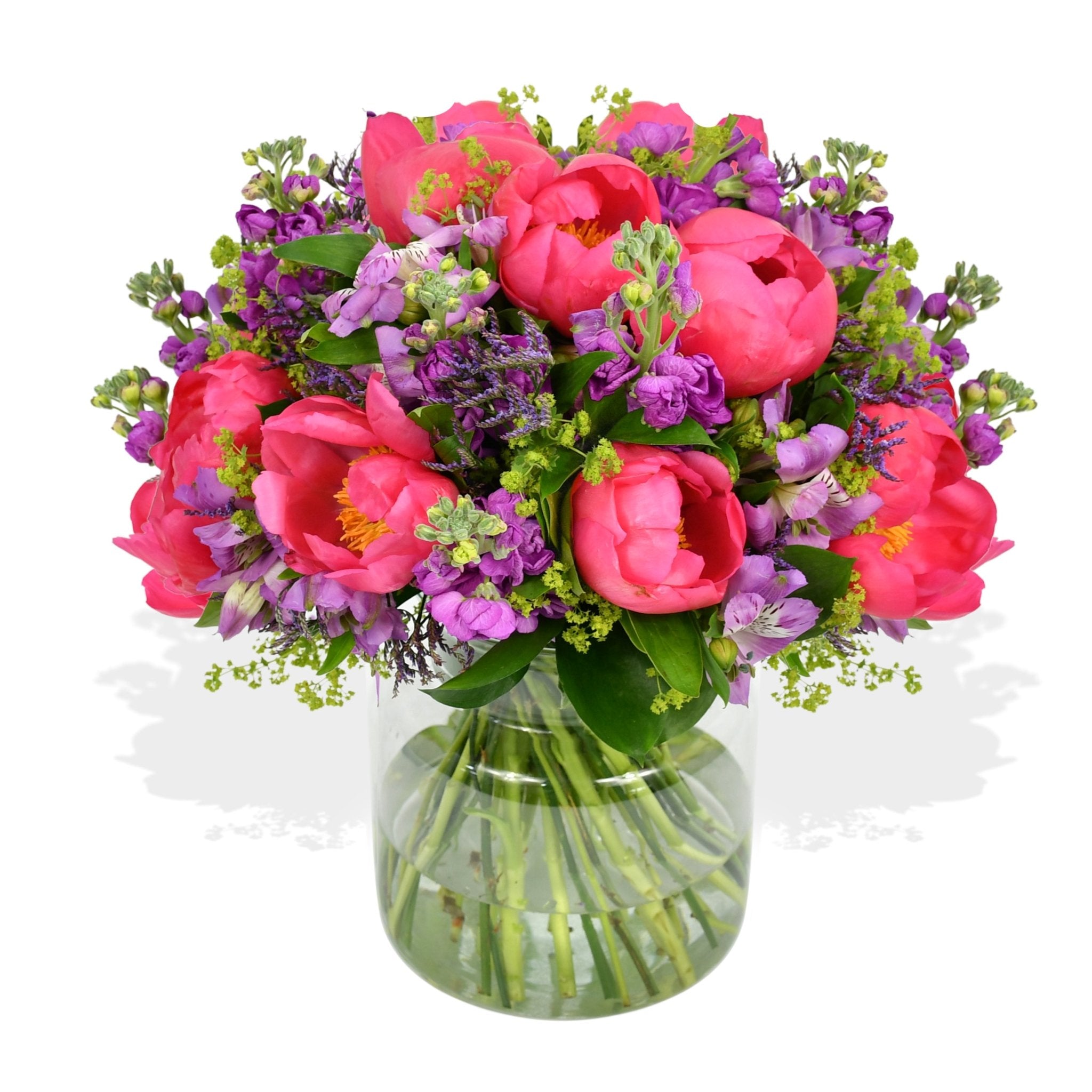 Stocks and Peonies - Plant Parent Definition review and price
