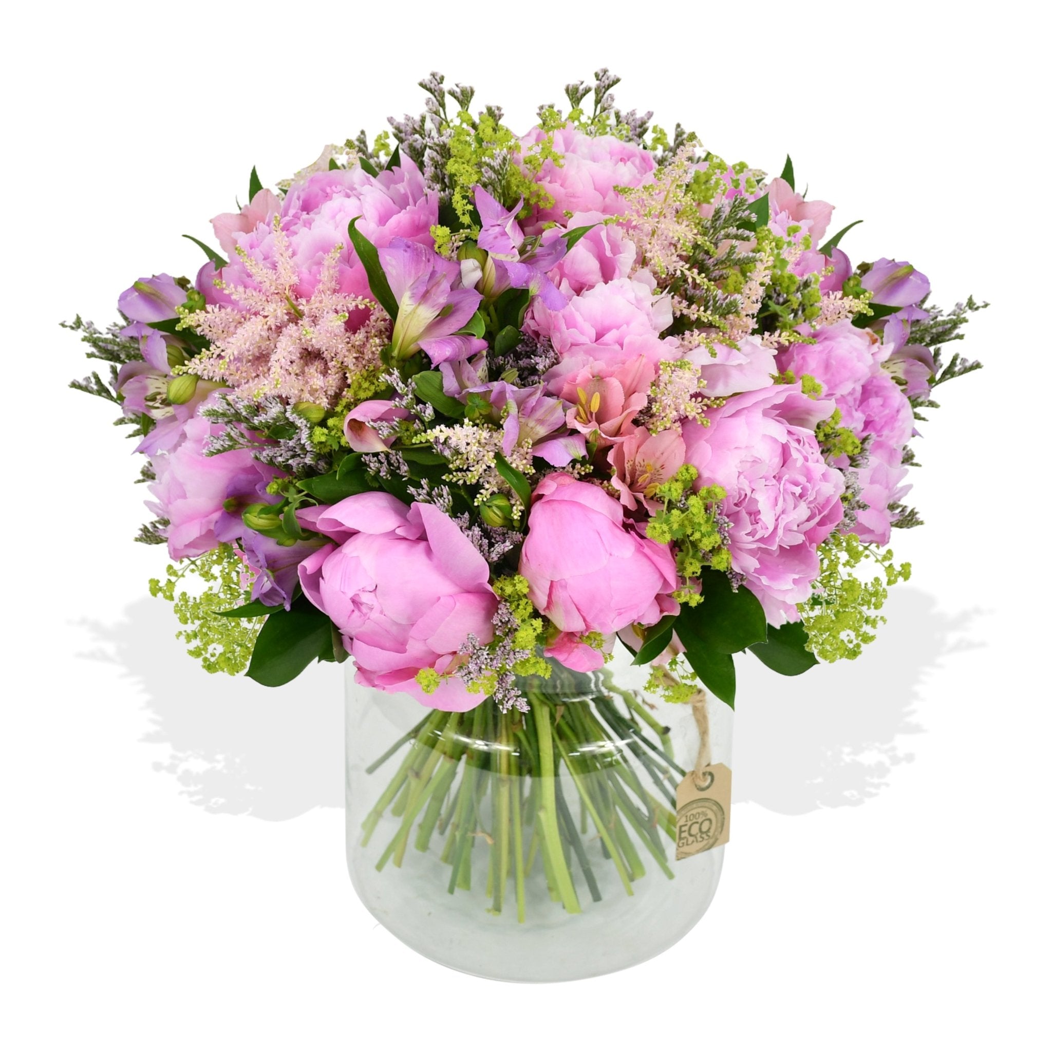 Sweet Peony Pinks - Plant Parent Definition review and price