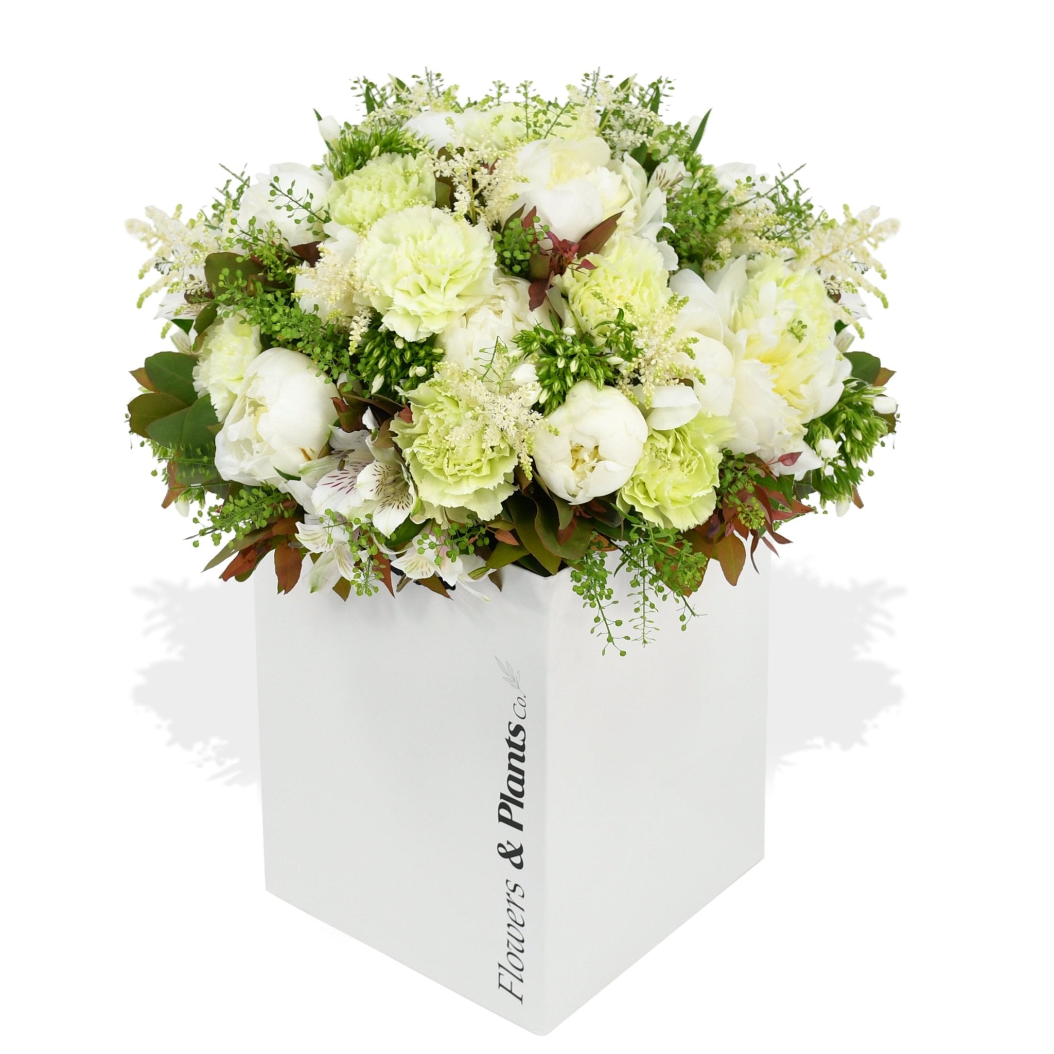 Heavenly Peonies - Plant Parent Definition review and price