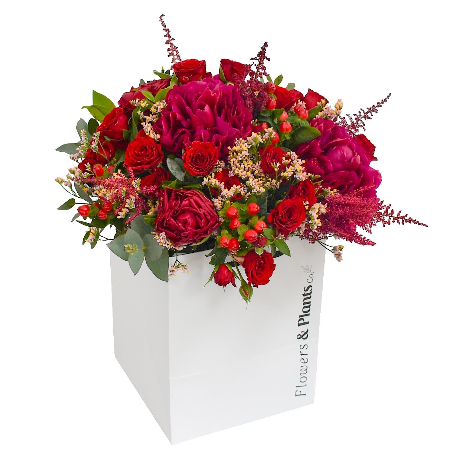 Crimson Delight - Plant Parent Definition review and price