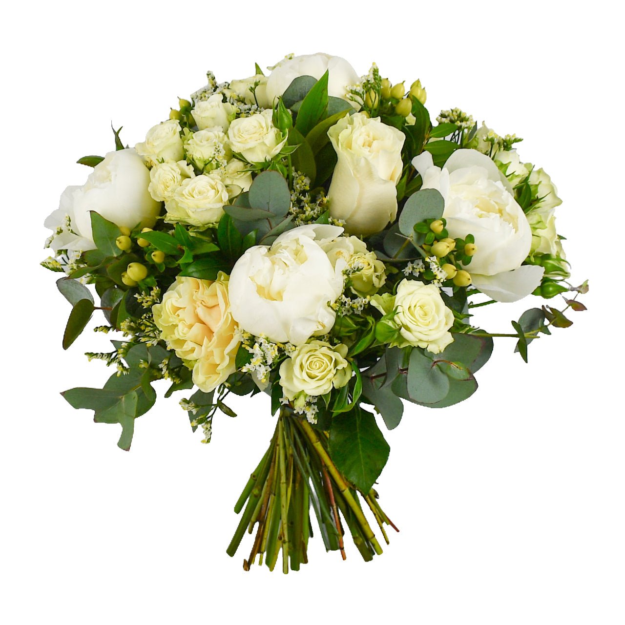 Perfect Peony - Plant Parent Definition review and price
