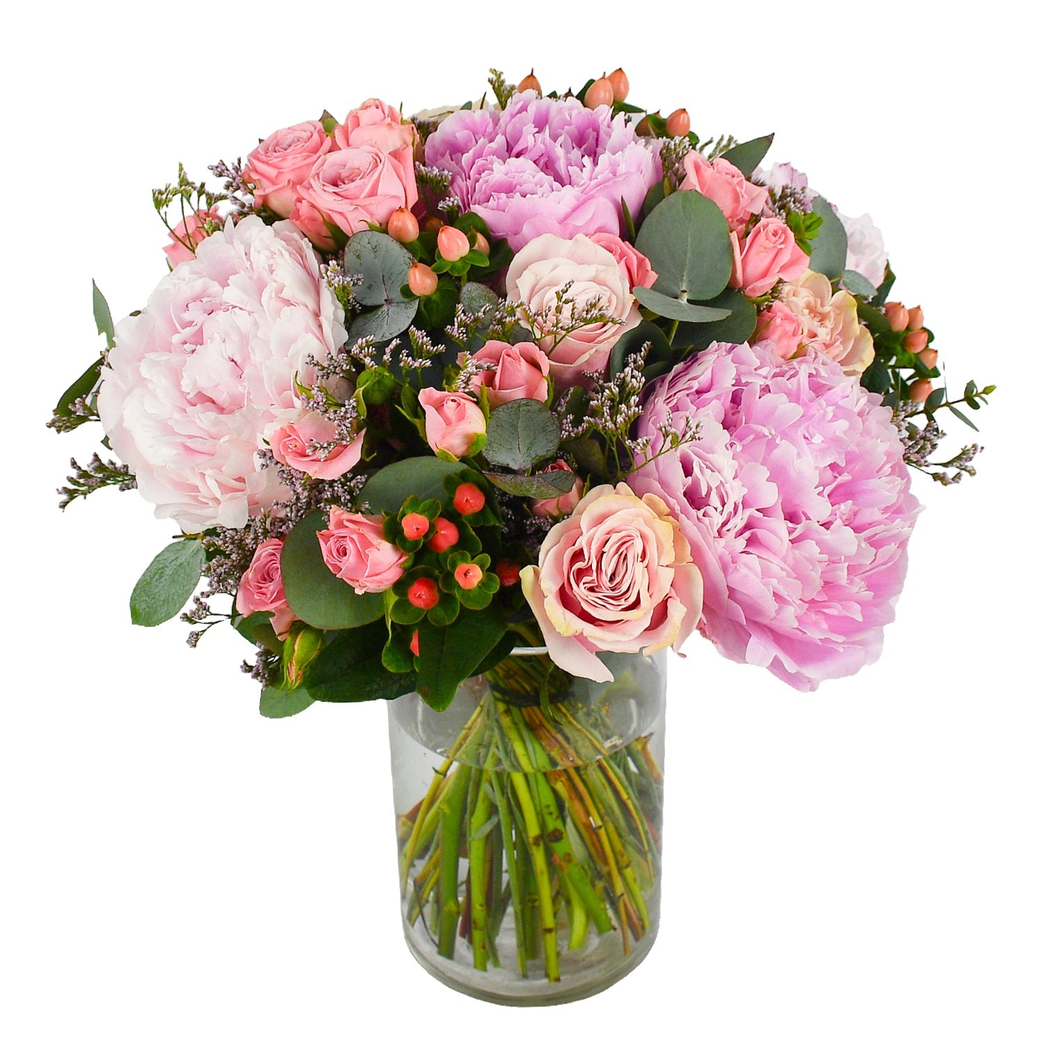 Peonies In Bloom - Plant Parent Definition review and price