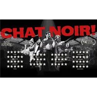 CHAT NOIR - Orchid Phalaenopsis review and price