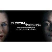 Electra/Persona - Orchid Phalaenopsis review and price