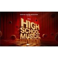 High School Musical - Orchid Phalaenopsis review and price