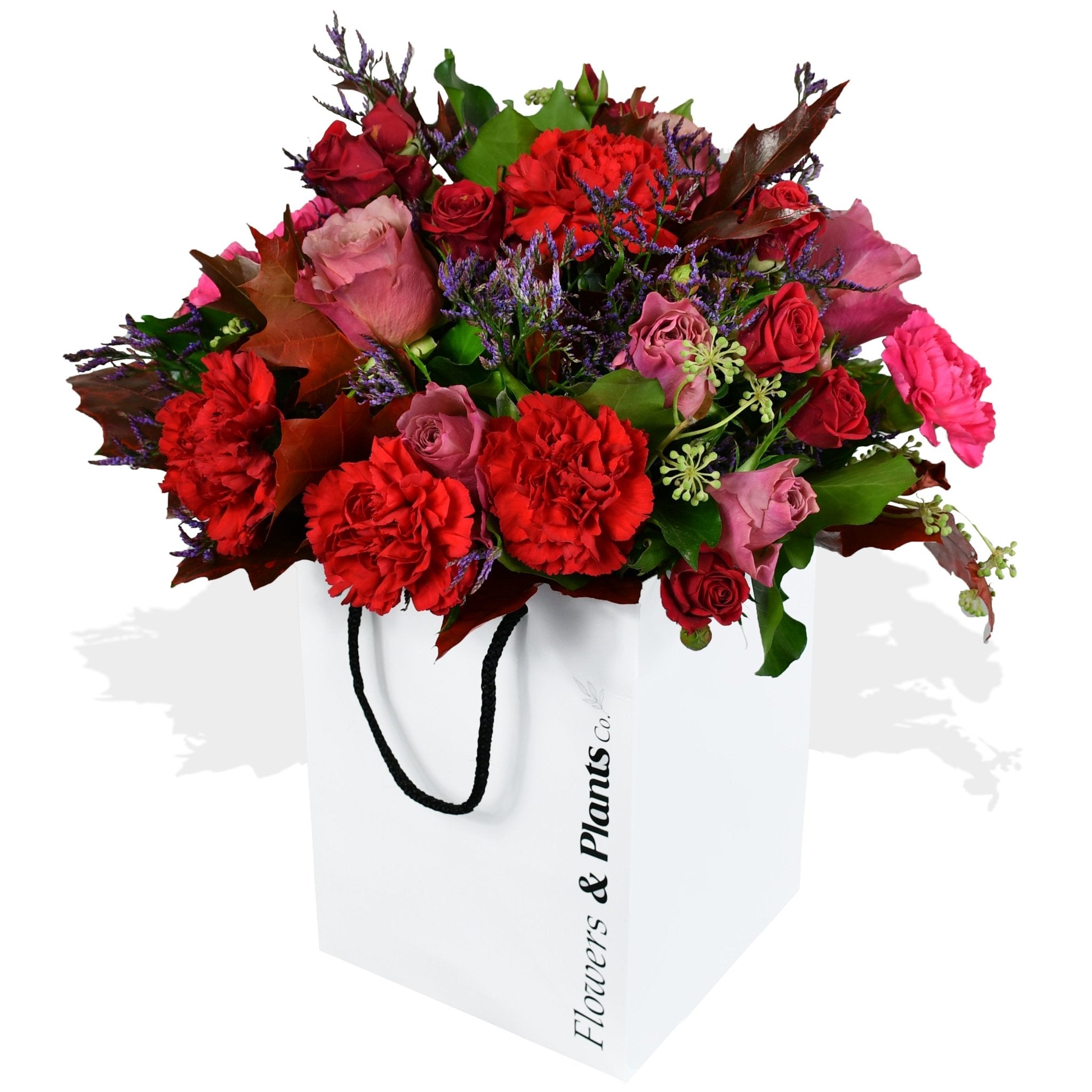 Carnation and Roses - Plant Parent Definition review and price