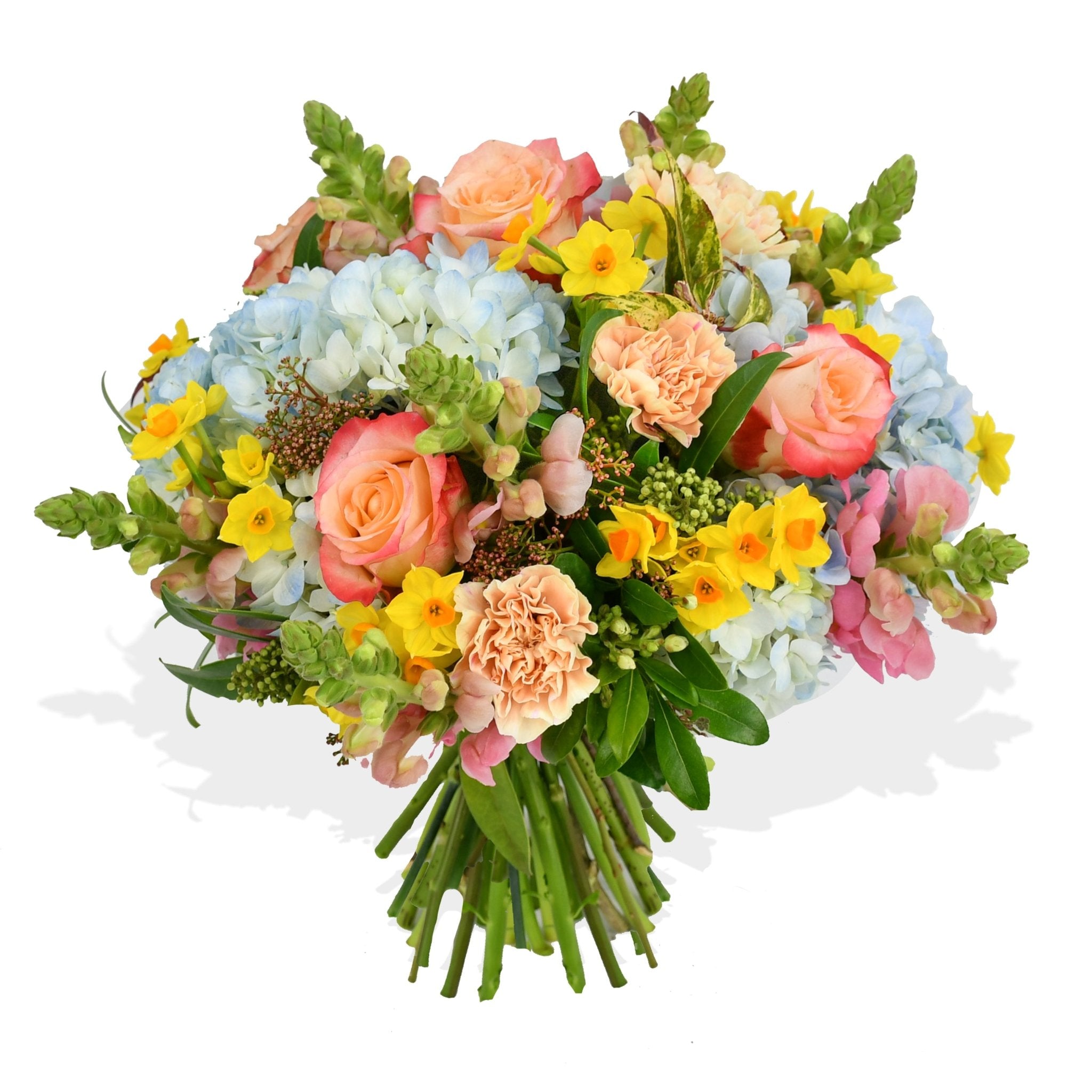 Joie De Vivre - Plant Parent Definition review and price