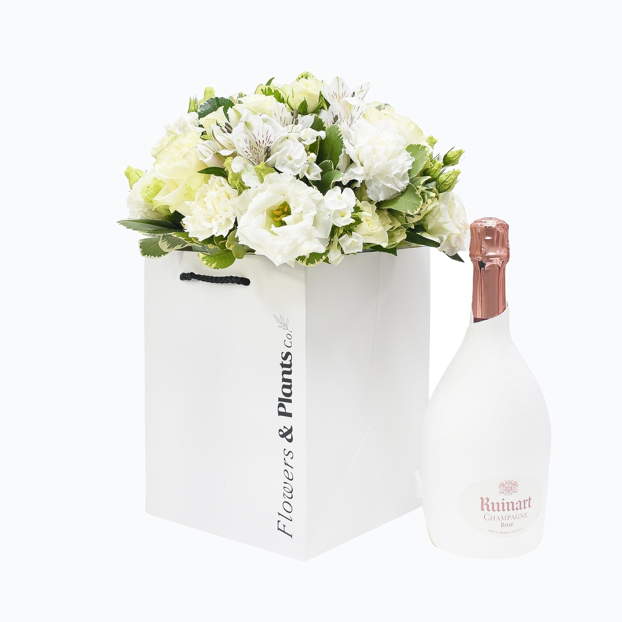 Sea Breeze - Plant Parent Definition review and price