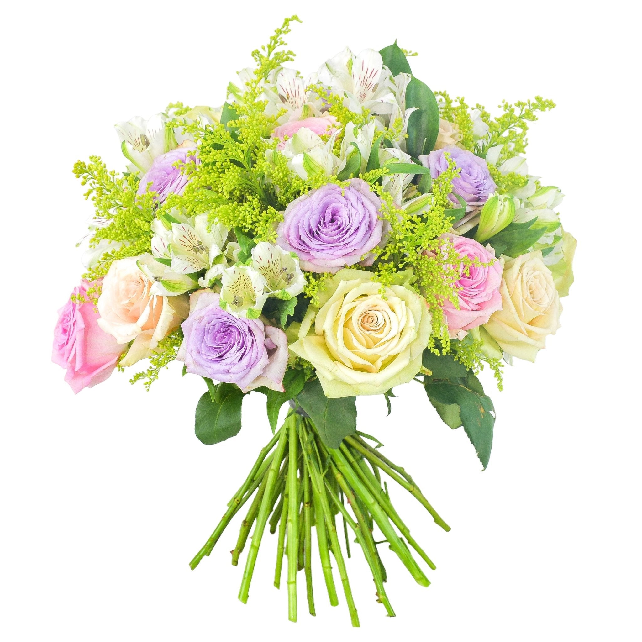 Pastel Passion - Plant Parent Definition review and price