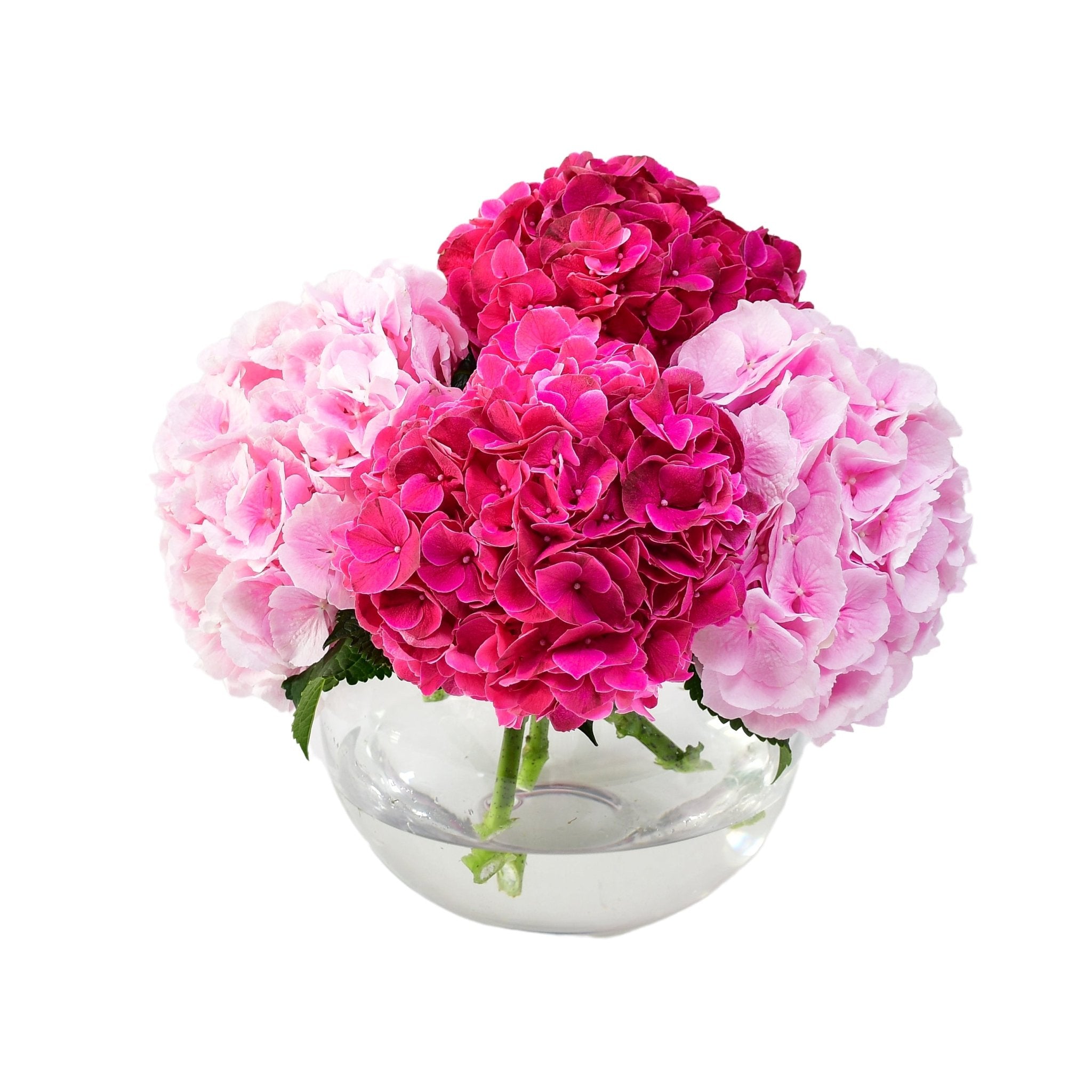 Just for You - Plant Parent Definition review and price