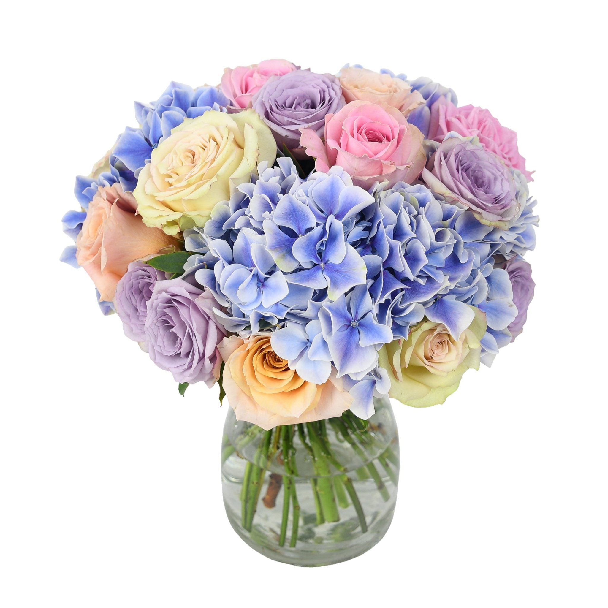 Parisian Blue - Plant Parent Definition review and price