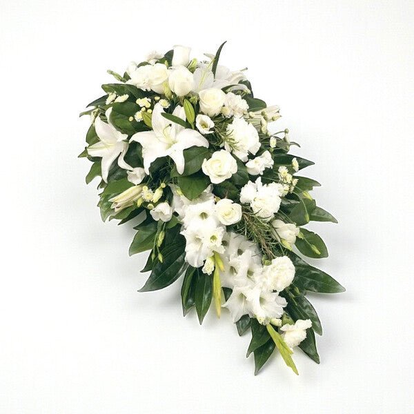 White Spray - Plant Parent Definition review and price