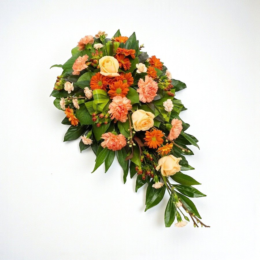 Orange Spray - Plant Parent Definition review and price